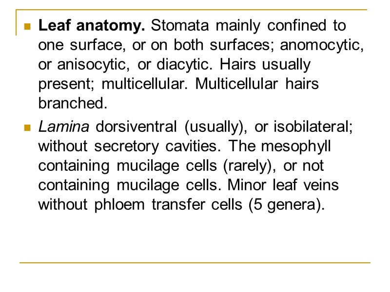 Leaf anatomy. Stomata mainly confined to one surface, or on both surfaces; anomocytic, or